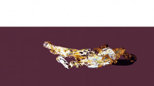 https://www.theospinnler.ch/files/gimgs/th-1_rollover 2XZ2 horizontal.jpg